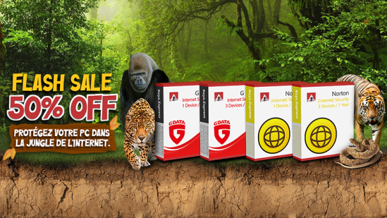 Protégez votre PC dans la jungle de l'Internet