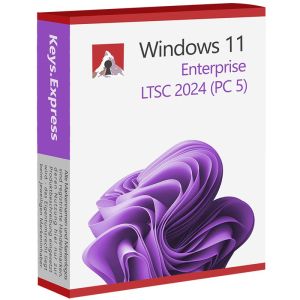 Microsoft Windows 11 Enterprise LTSC 2024 Key (5 PC)
